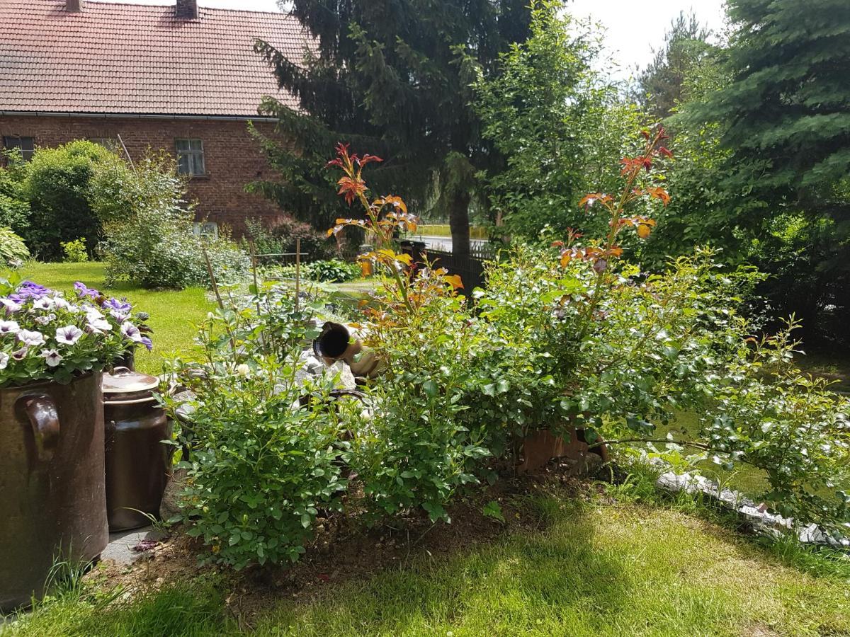 Wczasowisko Karola Lägenhet Lubomierz  Exteriör bild